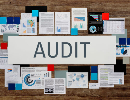 How important is auditing to businesses?